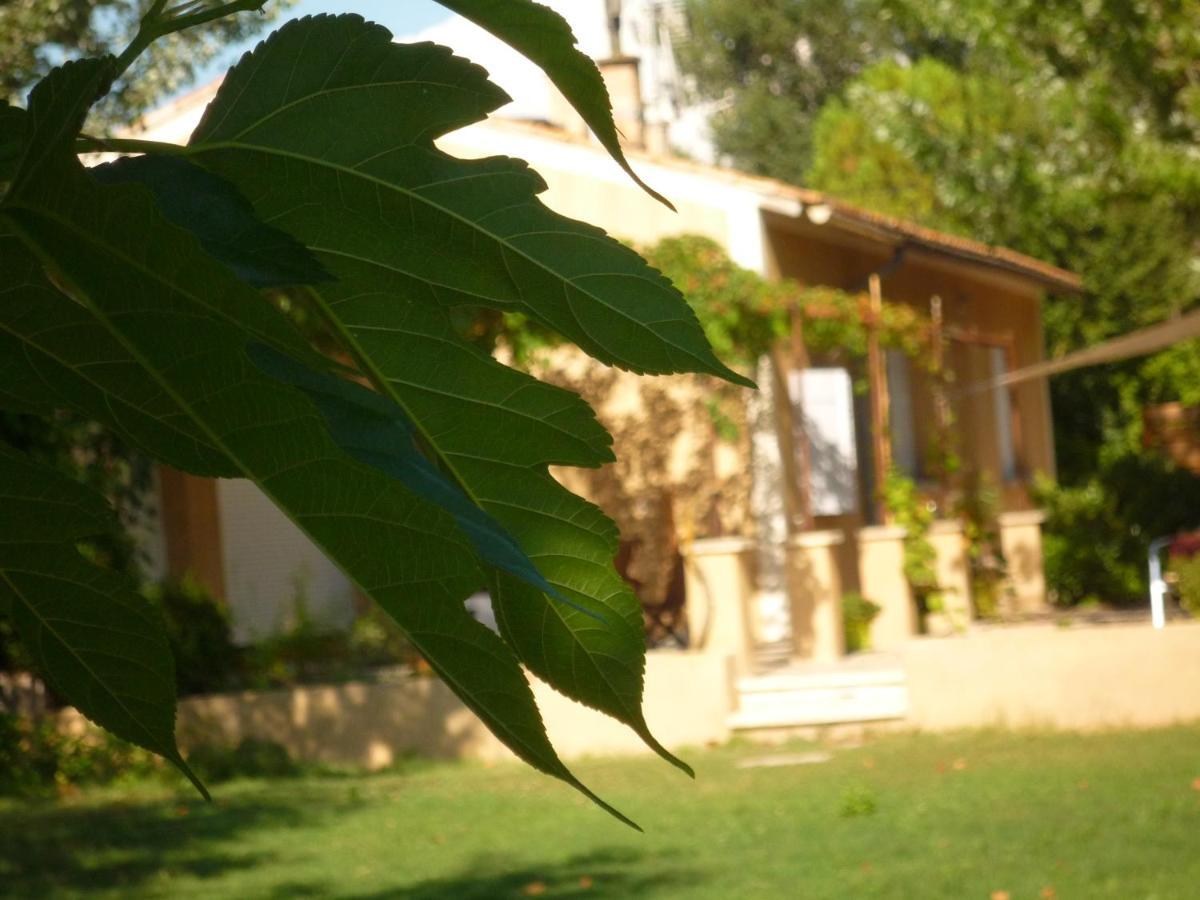 Bed and Breakfast L'atelier des Coudelières à Le Thor Extérieur photo